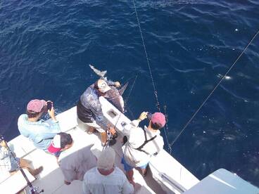 West Palm Beach Report Photo 2