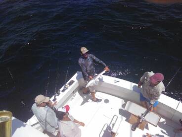 West Palm Beach Report Photo 1