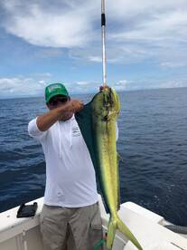 Herradura Report Photo 1