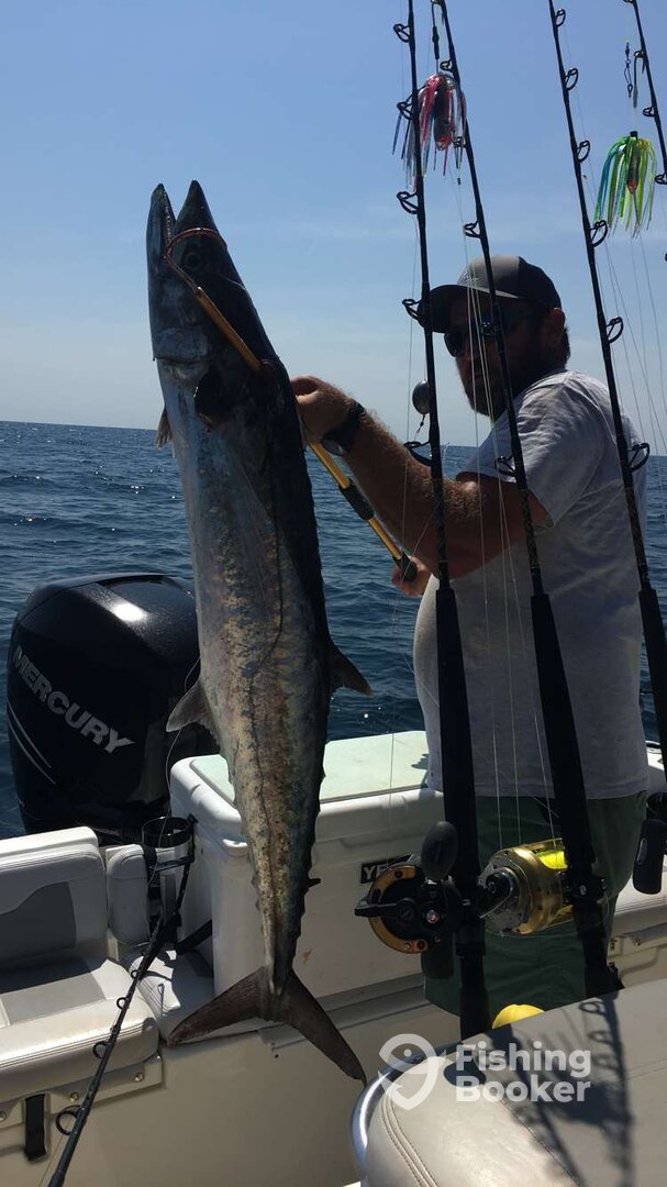 Orange Beach Report Photo 0