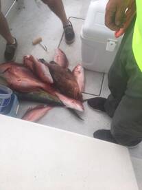 Fort Pierce Report Photo 2