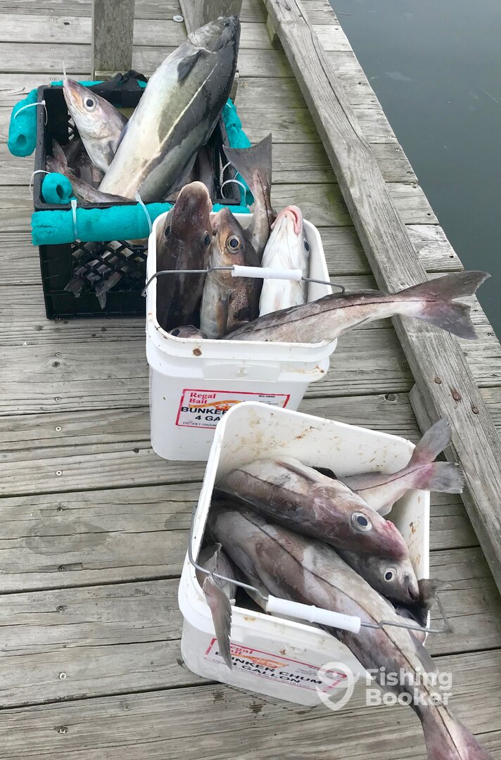 Scituate Report Photo 0