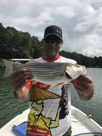 Cumming Report Photo 1