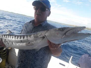 Huge Barracuda!
