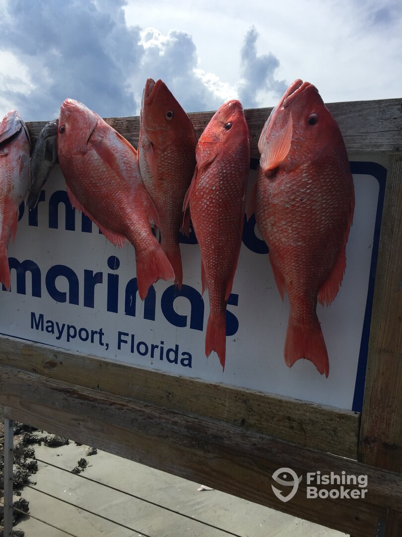 Jacksonville Report Photo 0