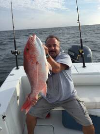 Red snapper kingfish 