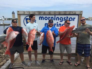 Jacksonville Report Photo 2