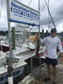 Biloxi Report Photo 1