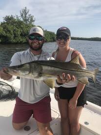 Sarasota Report Photo 1