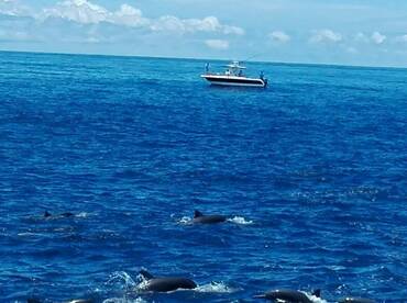 Presidential challenge flamingo fishing 