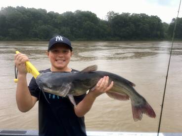 Harding Report Photo 1