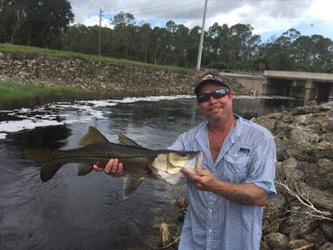 Bonita Springs Report Photo 2