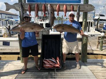 Today’s 8hr aboard the Wild Orange