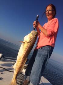 Venice Report Photo 2