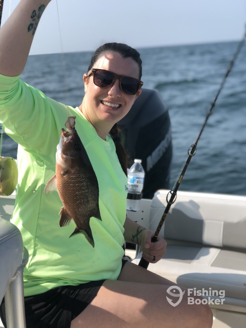 Orange Beach Report Photo 0