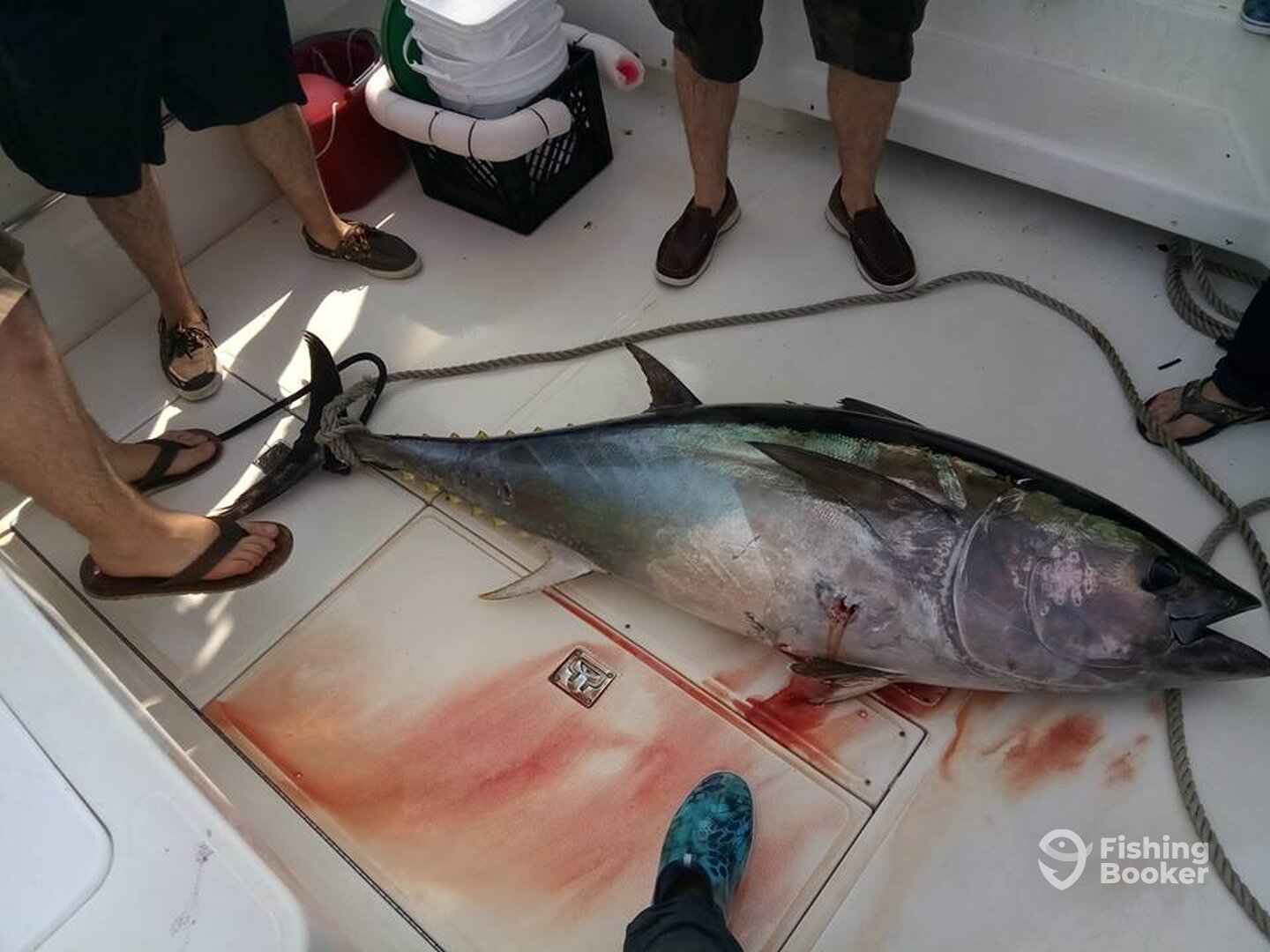 Scituate Report Photo 0