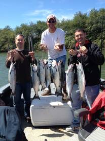 Astoria coho limits