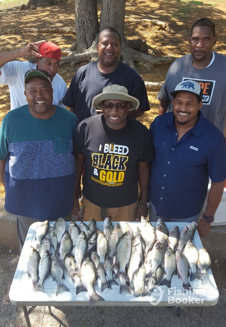 Grapevine Report Photo 0