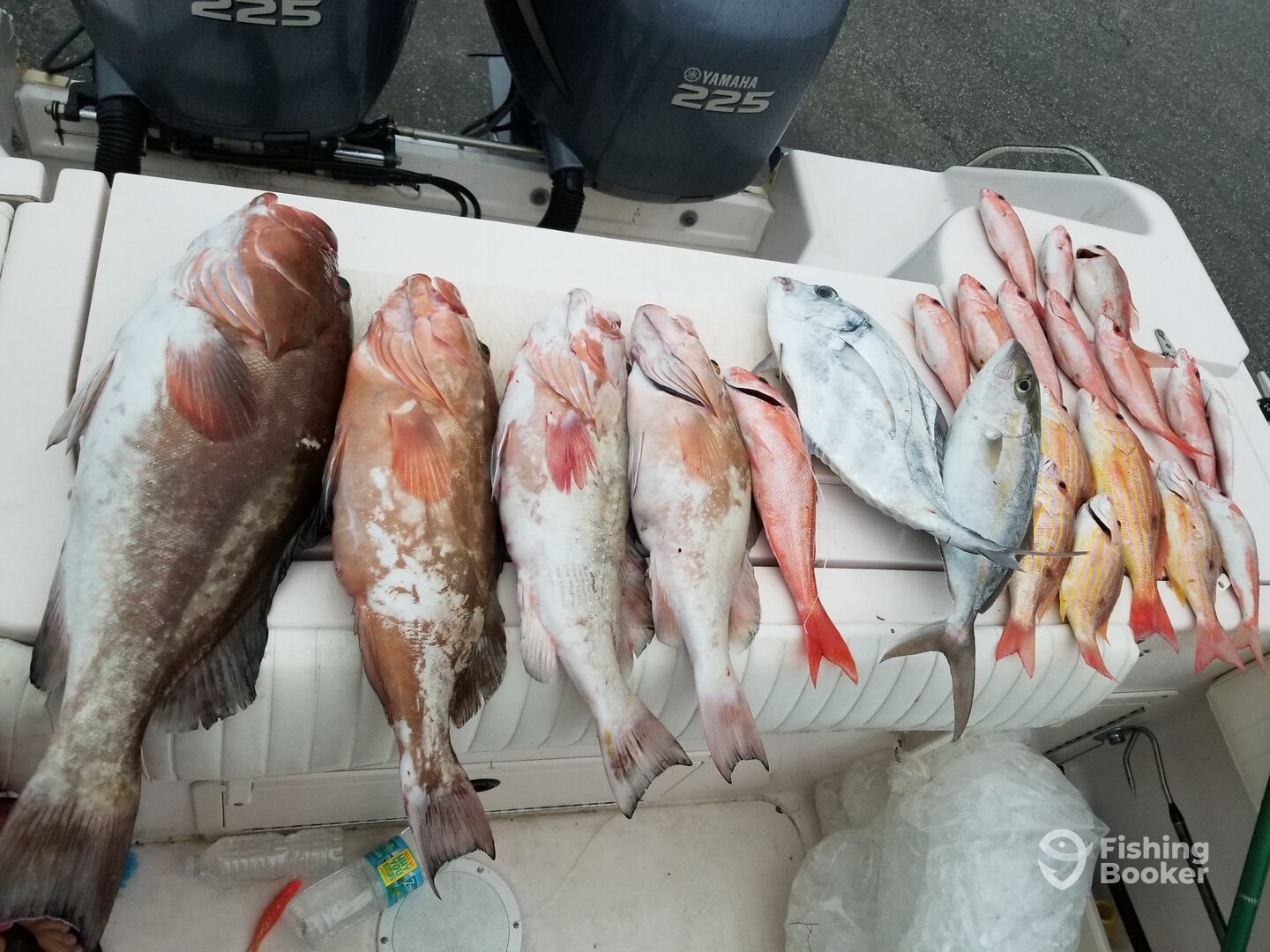 Clearwater Report Photo 0