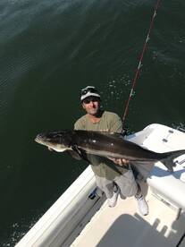 Virginia Beach Report Photo 1