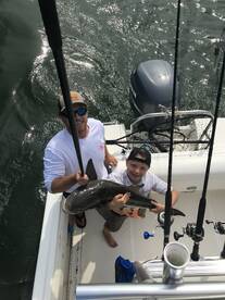 Virginia Beach Report Photo 2