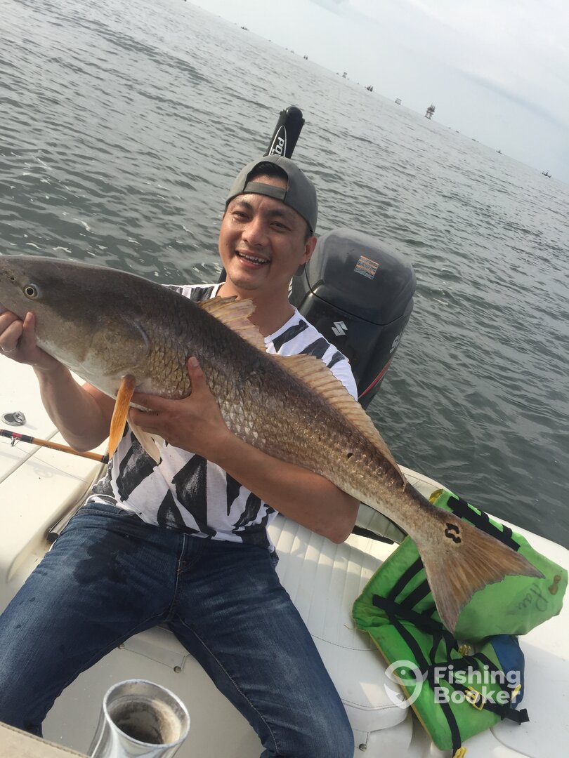 Venice Report Photo 0