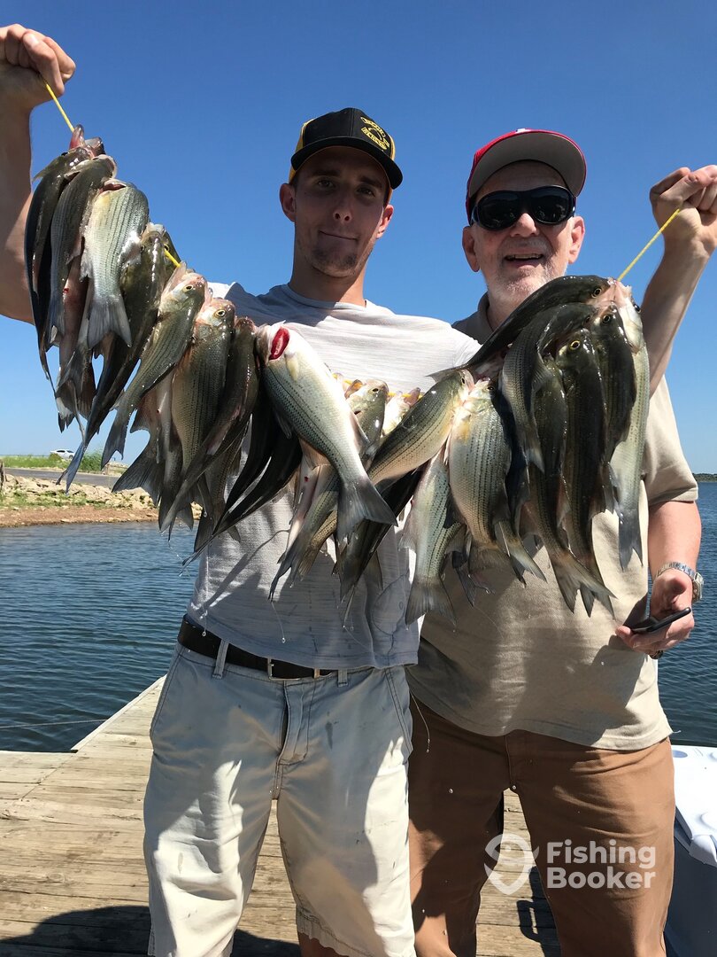 Grapevine Report Photo 0