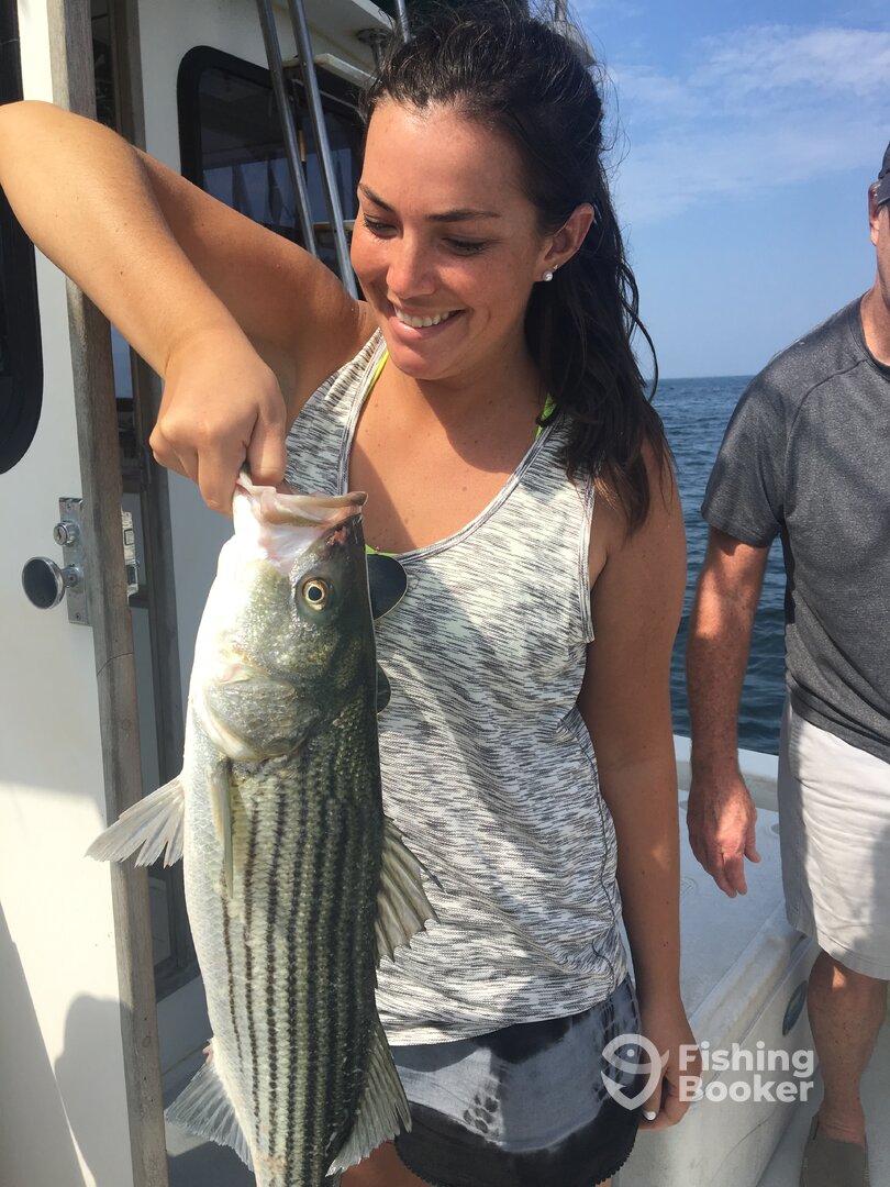 Dennis Report Photo 0