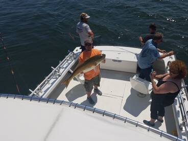 Nags Head Report Photo 1