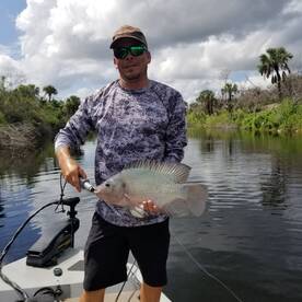 Bonita Springs Report Photo 2