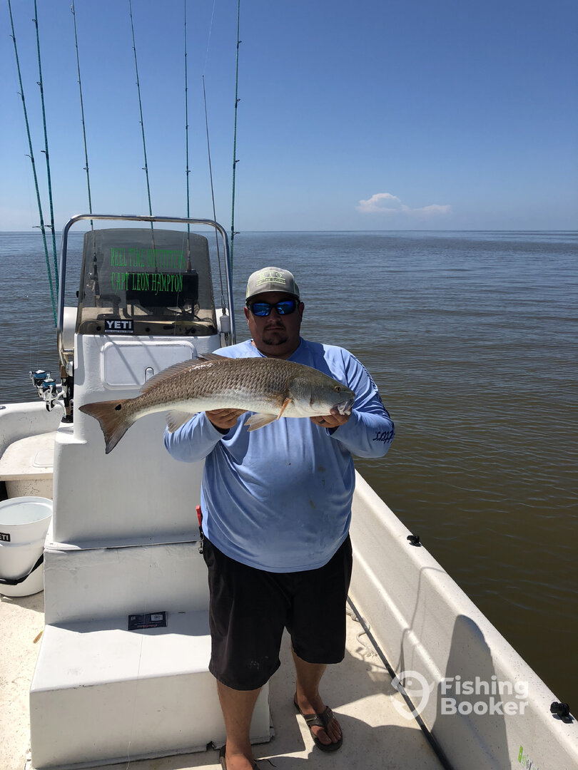 Crystal River Report Photo 0