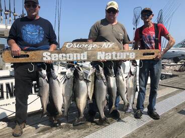 Oswego Report Photo 1