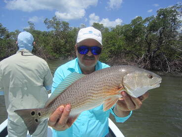 Naples Report Photo 1