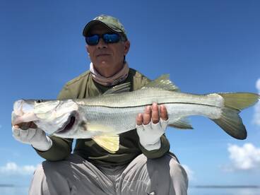 Homestead Report Photo 1