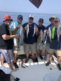 Gloucester Report Photo 1