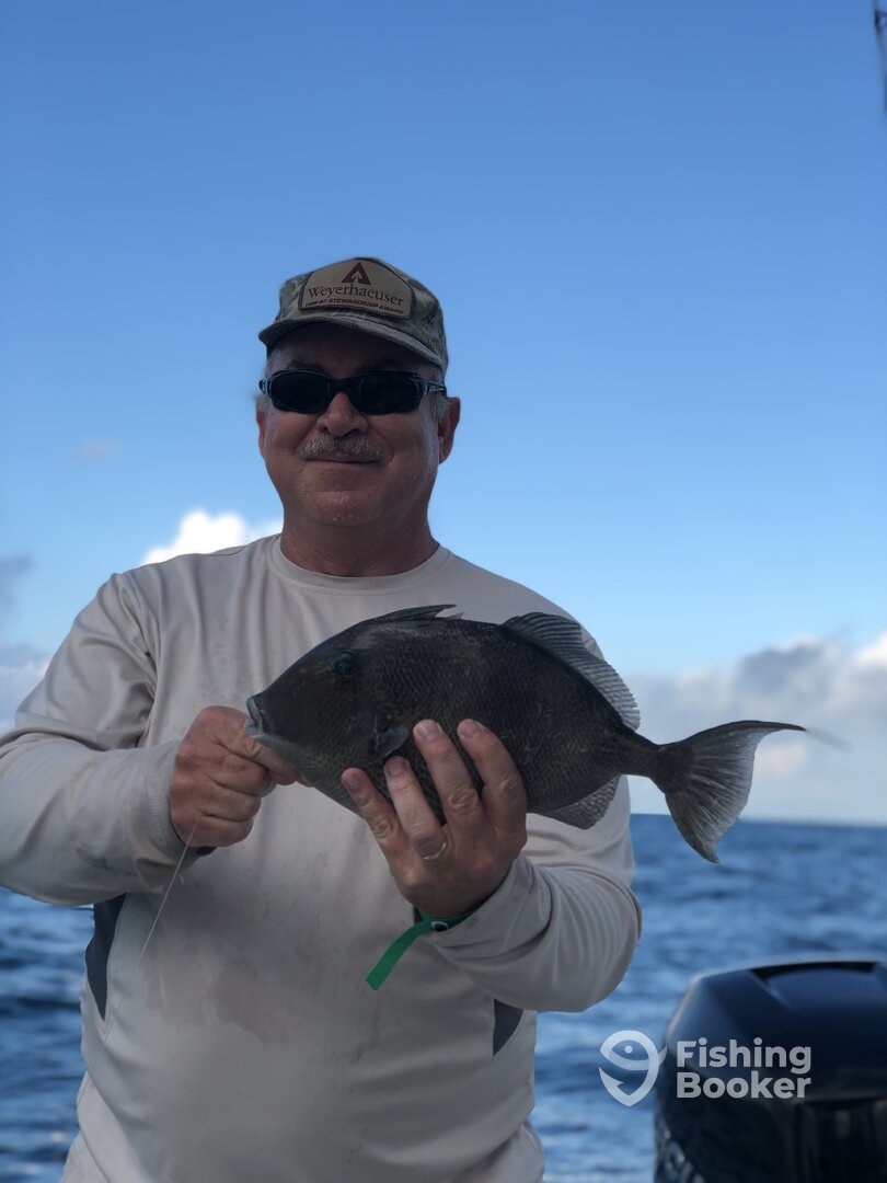 Orange Beach Report Photo 0