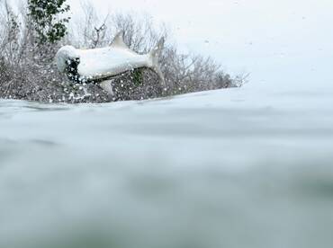 September and October are a great time t