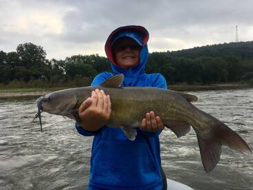 Harding Report Photo 2