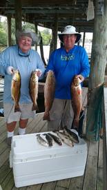 St. Bernard Report Photo 2