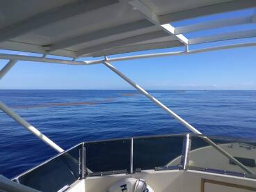 West Palm Beach Report Photo 1