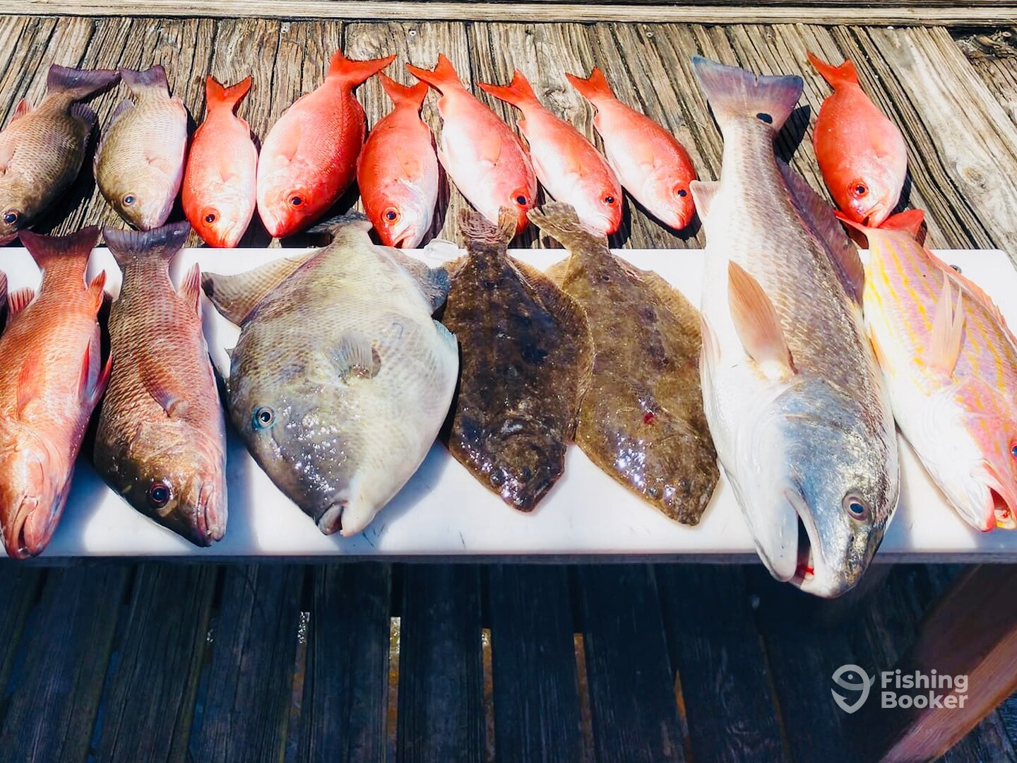 Pensacola Beach Report Photo 0