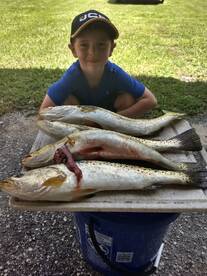 Crystal River Report Photo 2