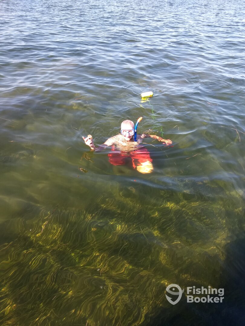 Crystal River Report Photo 0