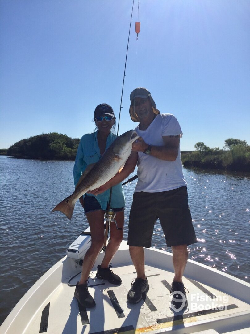 St. Bernard Report Photo 0