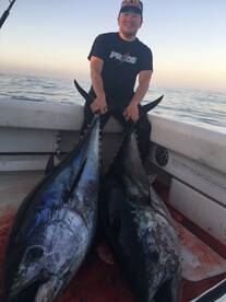 Dana Point Report Photo 1