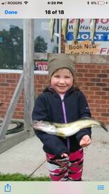 Nanticoke Report Photo 2