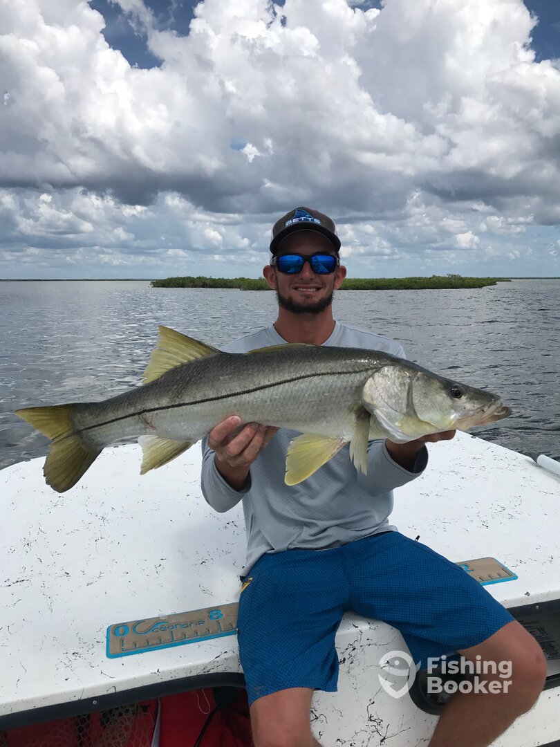 Clearwater Report Photo 0