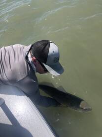 Homestead Report Photo 2