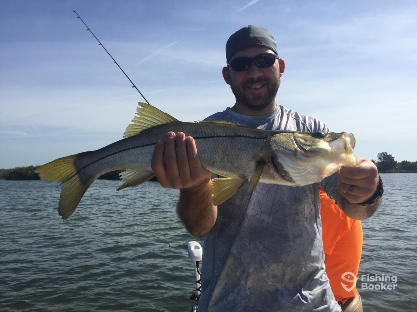 Sarasota Report Photo 0