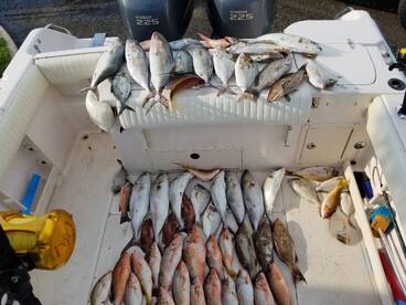 Clearwater Report Photo 1